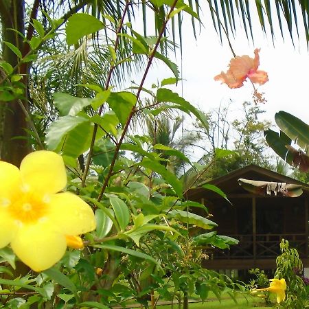 J And H Garden Cabinas Bocas Town Exterior foto