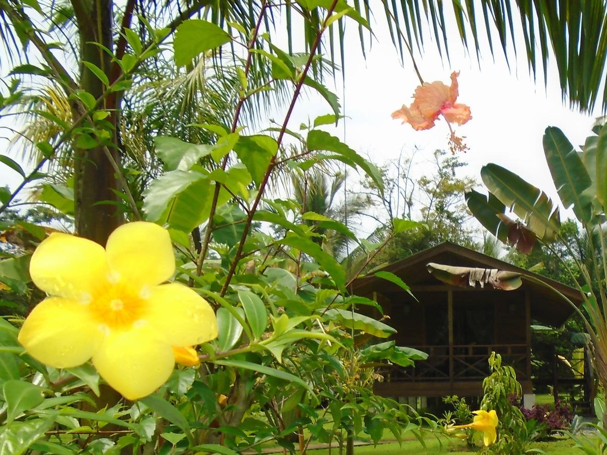 J And H Garden Cabinas Bocas Town Exterior foto